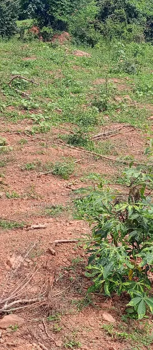 3 Acres of Land Entebbe Road in Garuga Bulega