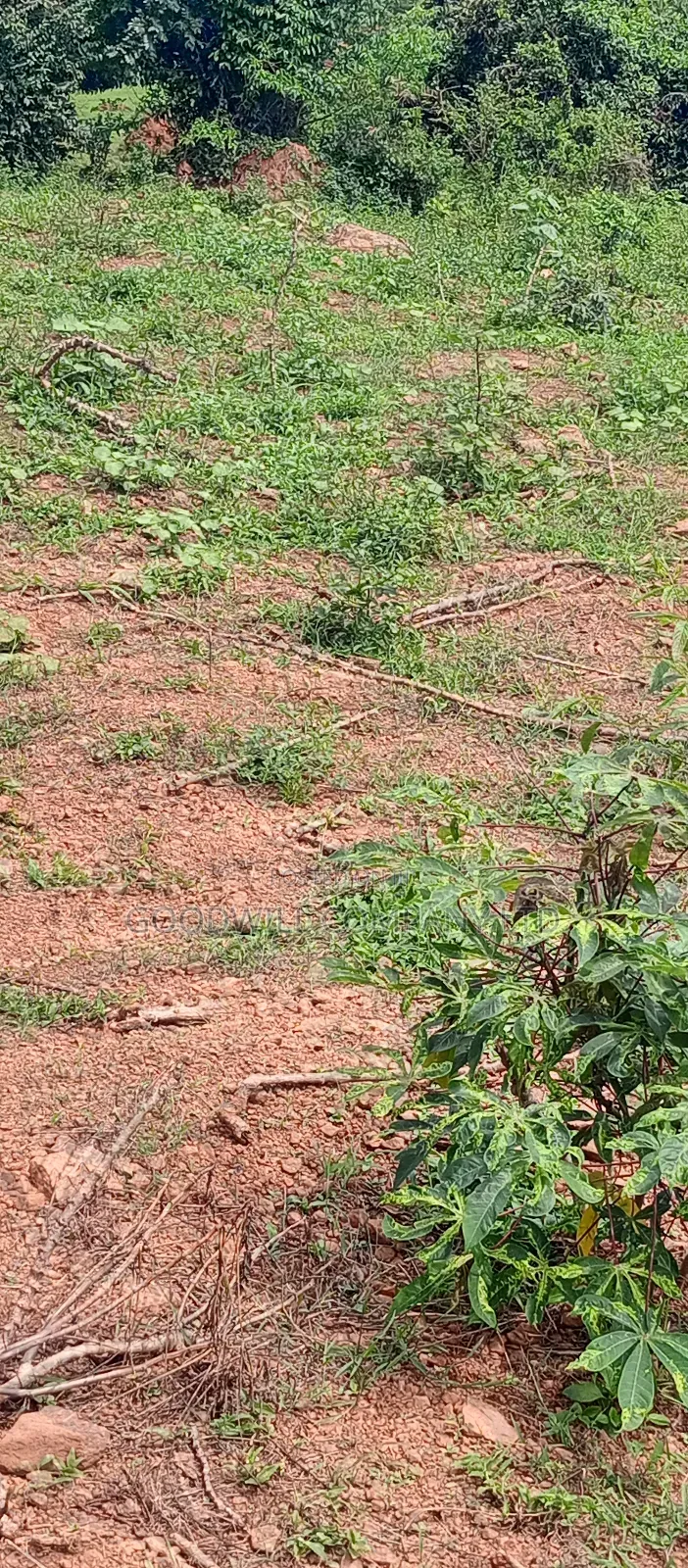 3 Acres of Land Entebbe Road in Garuga Bulega