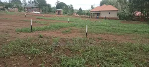 Plots on Sale in Matugga Kavule