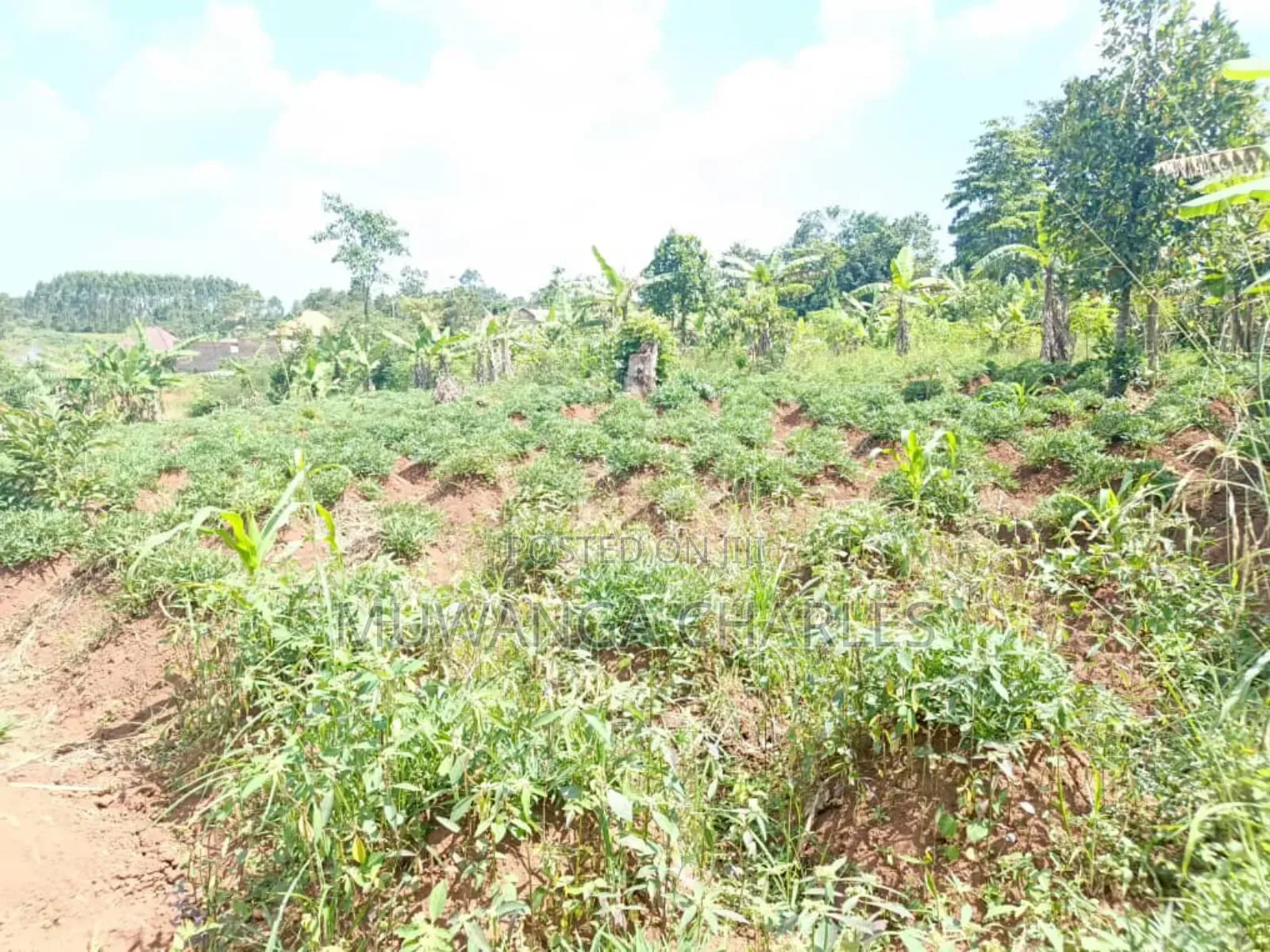 Plots on Sale in Matugga Kavule