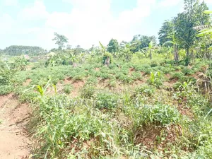 Plots on Sale in Matugga Kavule