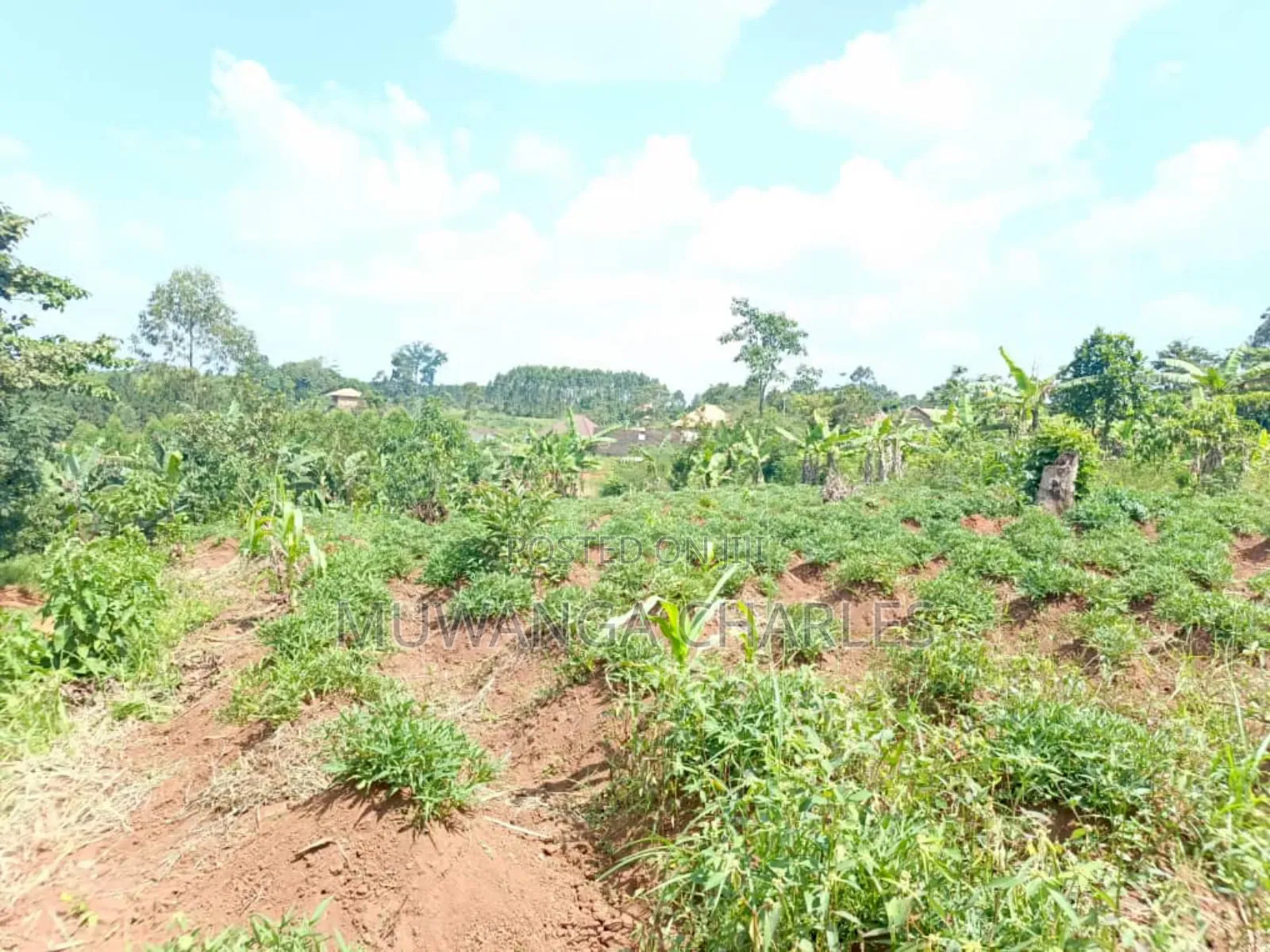 Plots on Sale in Matugga Kavule