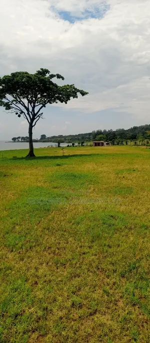 7 Acres of Beach Land in Pearl Marina Garuga