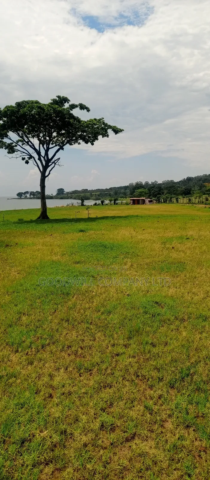 7 Acres of Beach Land in Pearl Marina Garuga