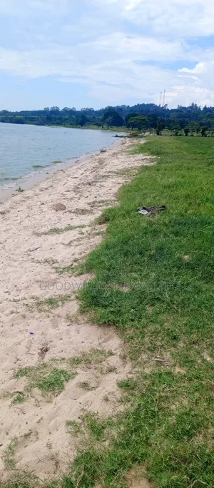 7 Acres of Beach Land in Pearl Marina Garuga