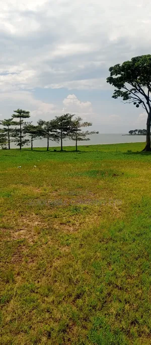 7 Acres of Beach Land in Pearl Marina Garuga