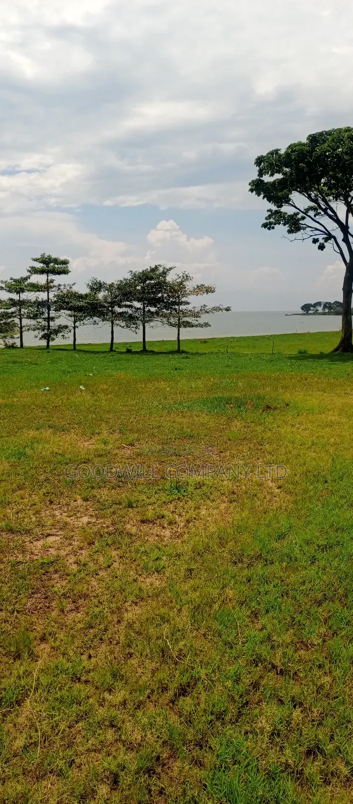 7 Acres of Beach Land in Pearl Marina Garuga