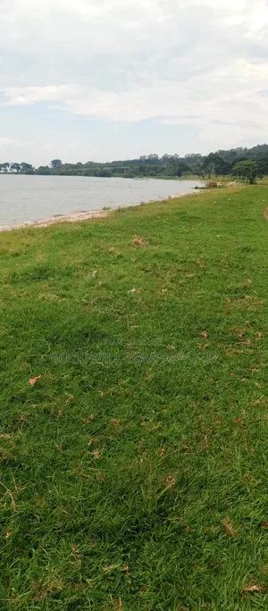 4 Acres Of Land In Garuga Touching Lake Victoria With Pure White Sand