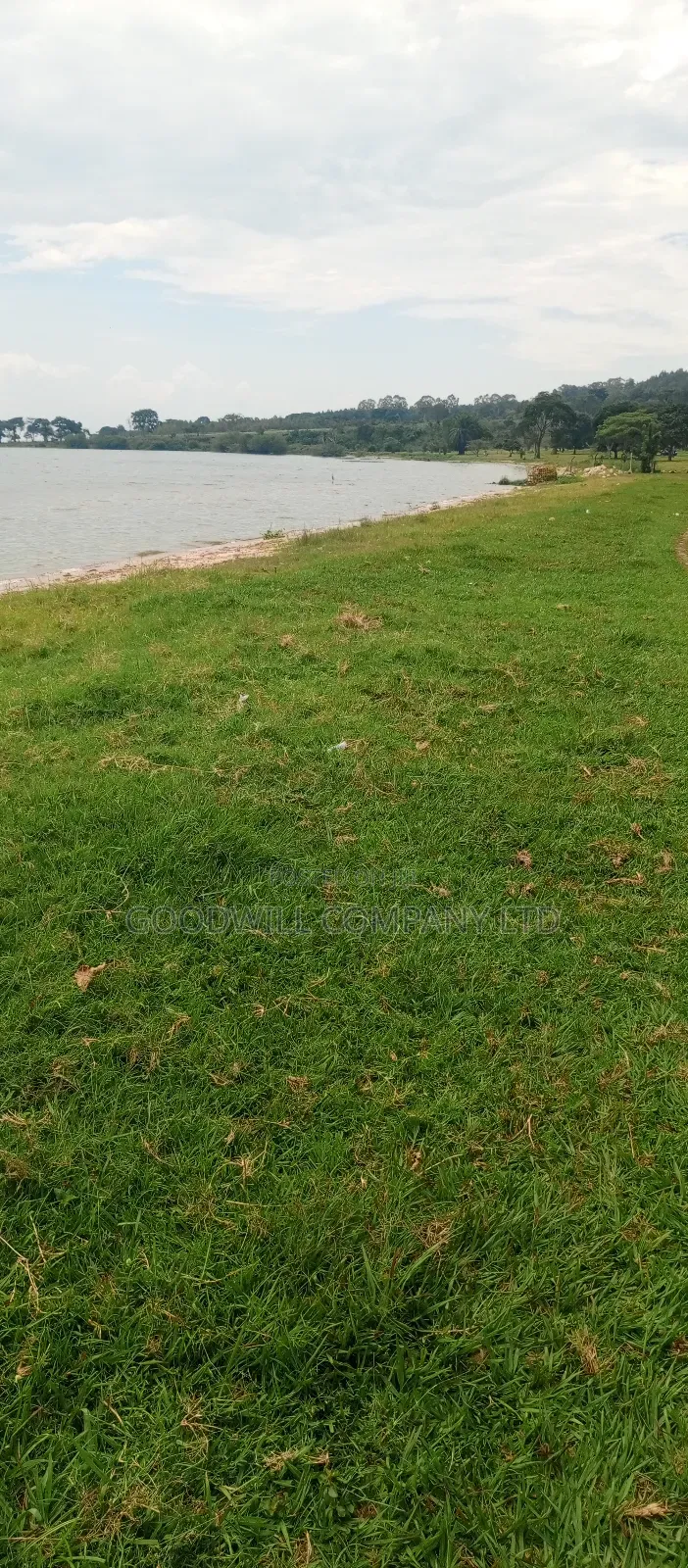 4 Acres Of Land In Garuga Touching Lake Victoria With Pure White Sand