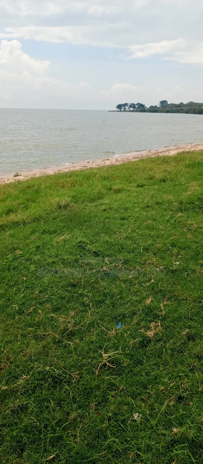 4 Acres Of Land In Garuga Touching Lake Victoria With Pure White Sand