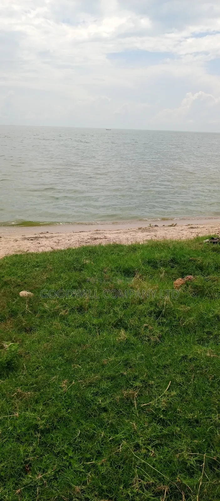4 Acres Of Land In Garuga Touching Lake Victoria With Pure White Sand