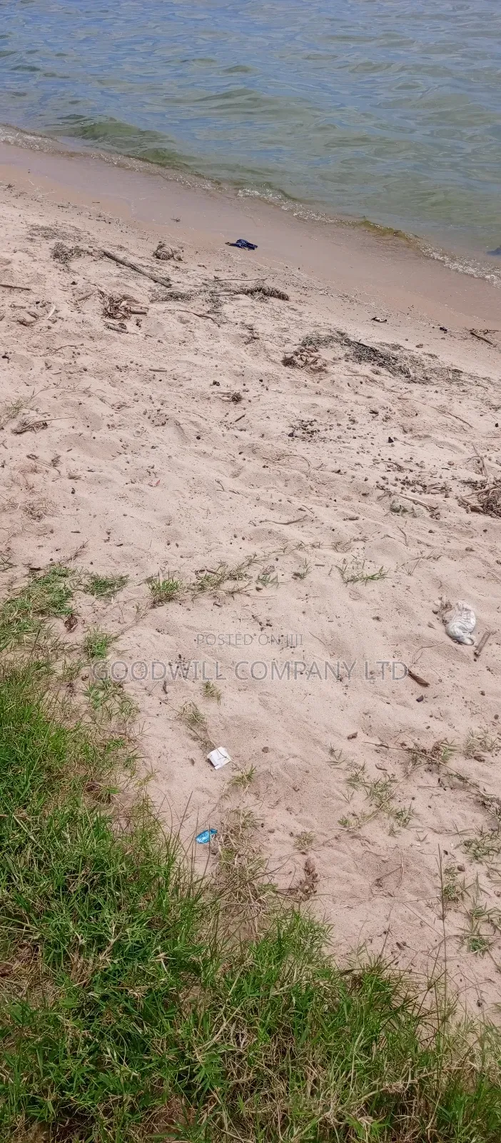 4 Acres Of Land In Garuga Touching Lake Victoria With Pure White Sand