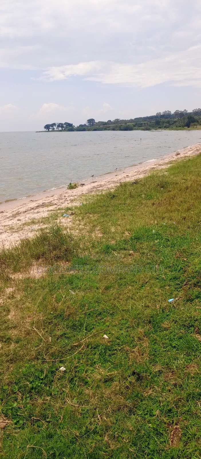 4 Acres Of Land In Garuga Touching Lake Victoria With Pure White Sand