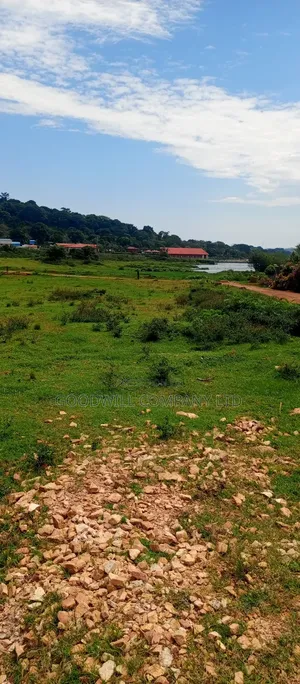 60 Decimals Of Land In Musinde Garuga Entebbe Rd W/T Lakevictoria View