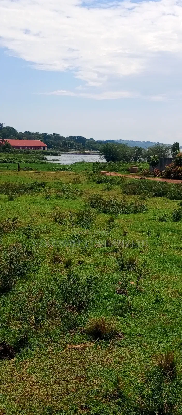 60 Decimals Of Land In Musinde Garuga Entebbe Rd W/T Lakevictoria View