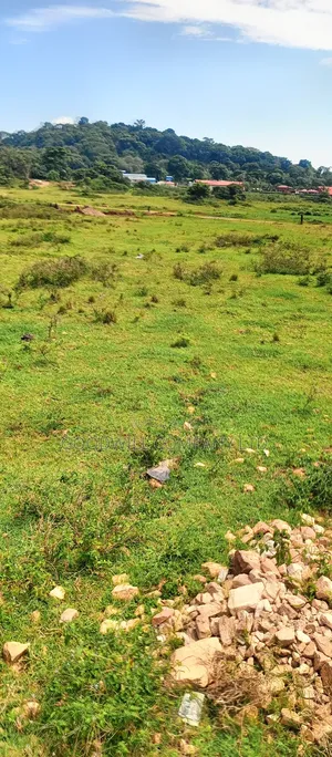 60 Decimals Of Land In Musinde Garuga Entebbe Rd W/T Lakevictoria View