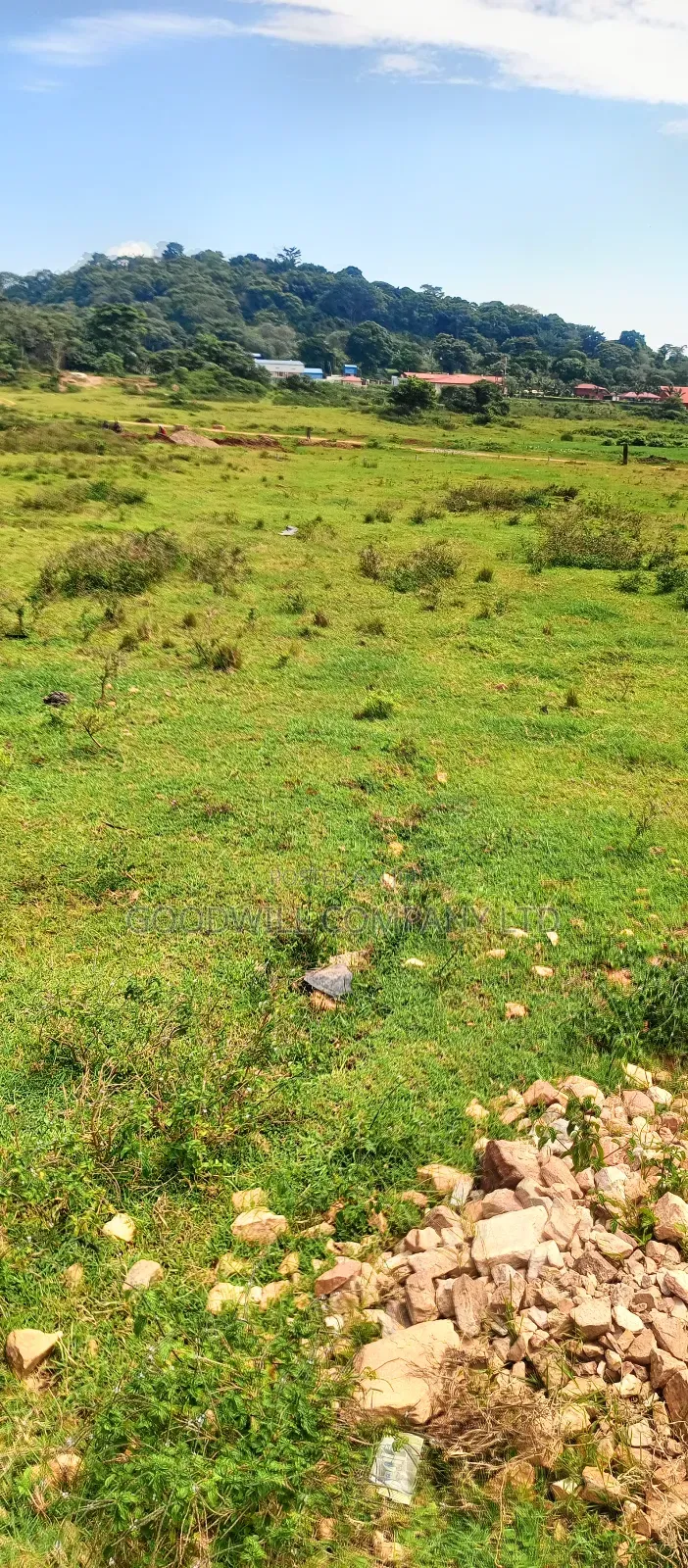 60 Decimals Of Land In Musinde Garuga Entebbe Rd W/T Lakevictoria View