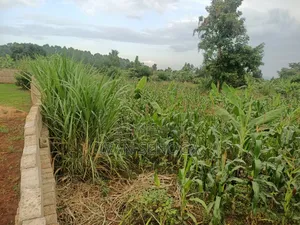 100*100 for Sale After Kiwenda in Bugema. Agreement Sale