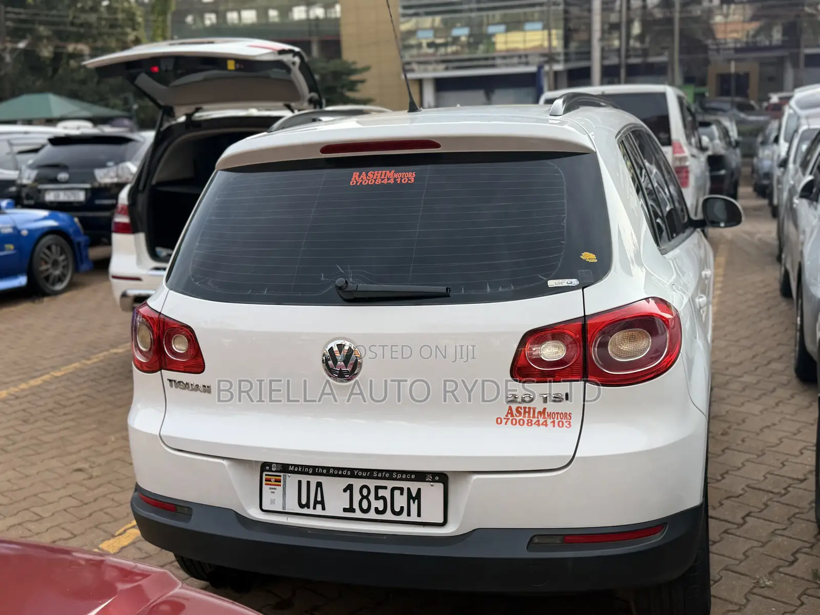 Volkswagen Tiguan 2010 White