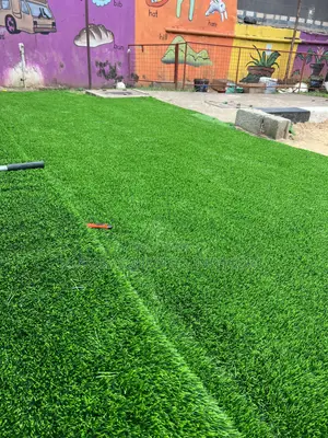 School Grass Carpets/Carpet