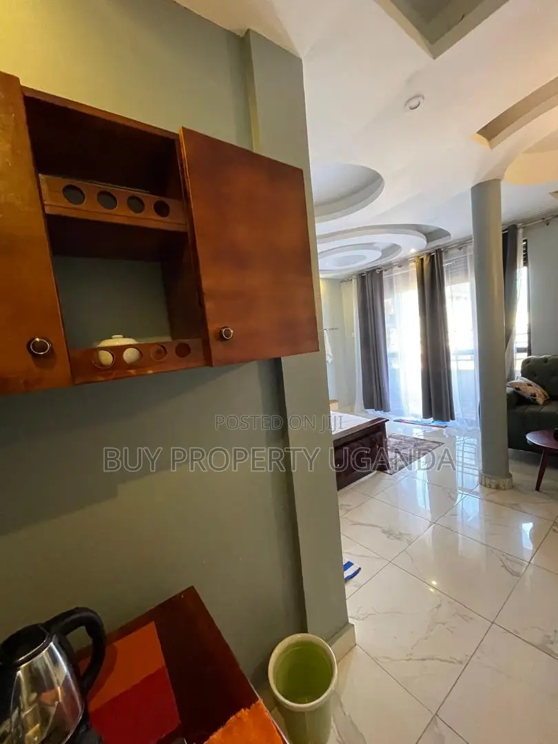 Furnished Studio Apartment in Victoria Mall, Katabi for rent