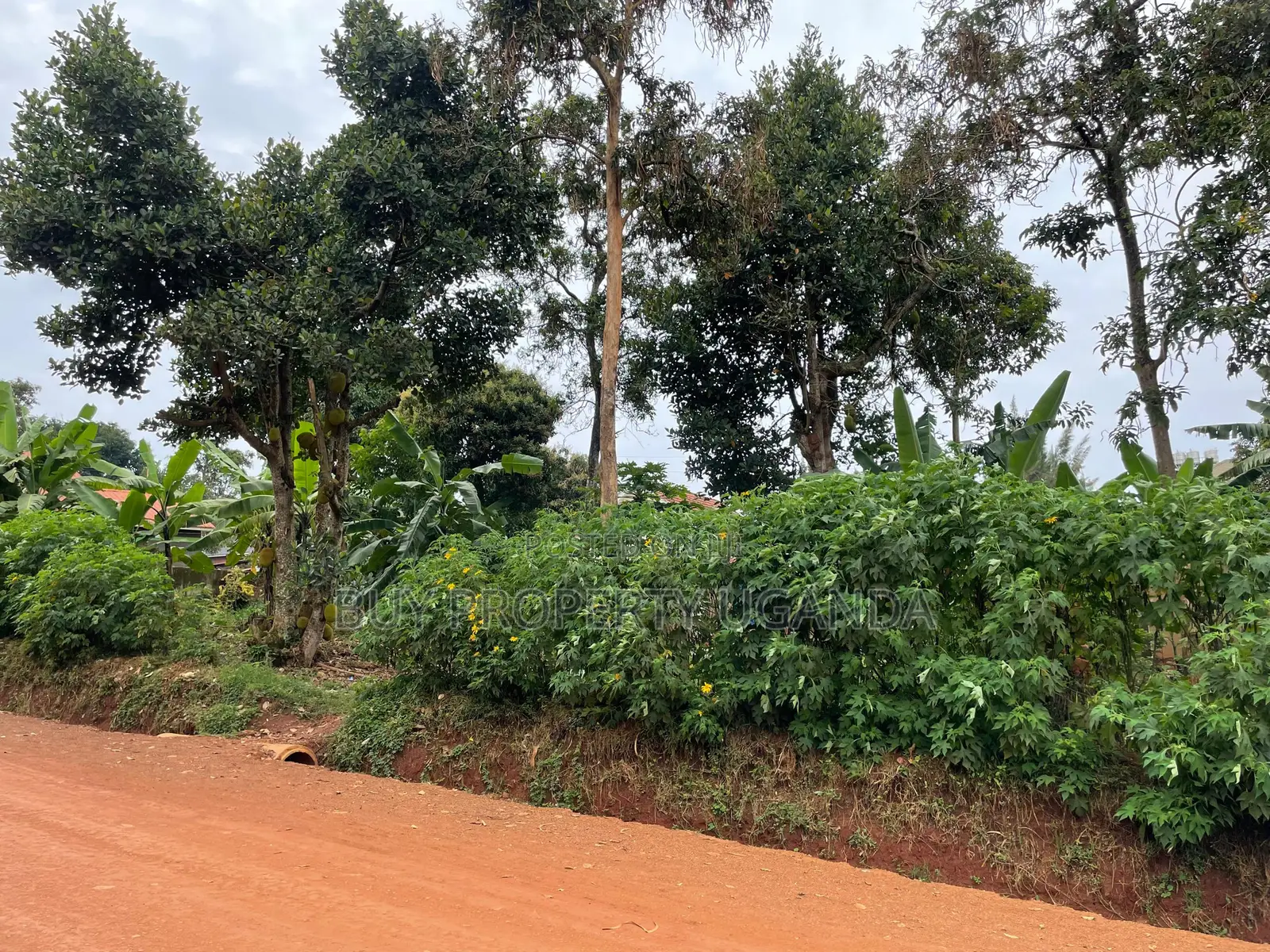 Land for Sale Near Entebbe Airport