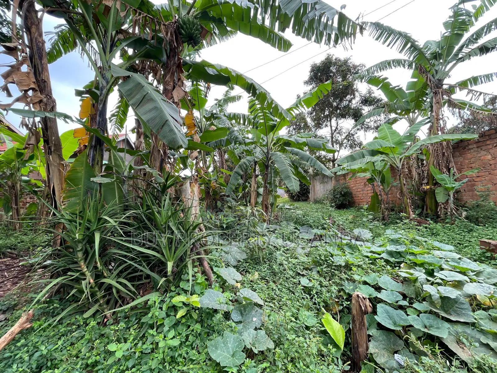 Land for Sale Near Entebbe Airport