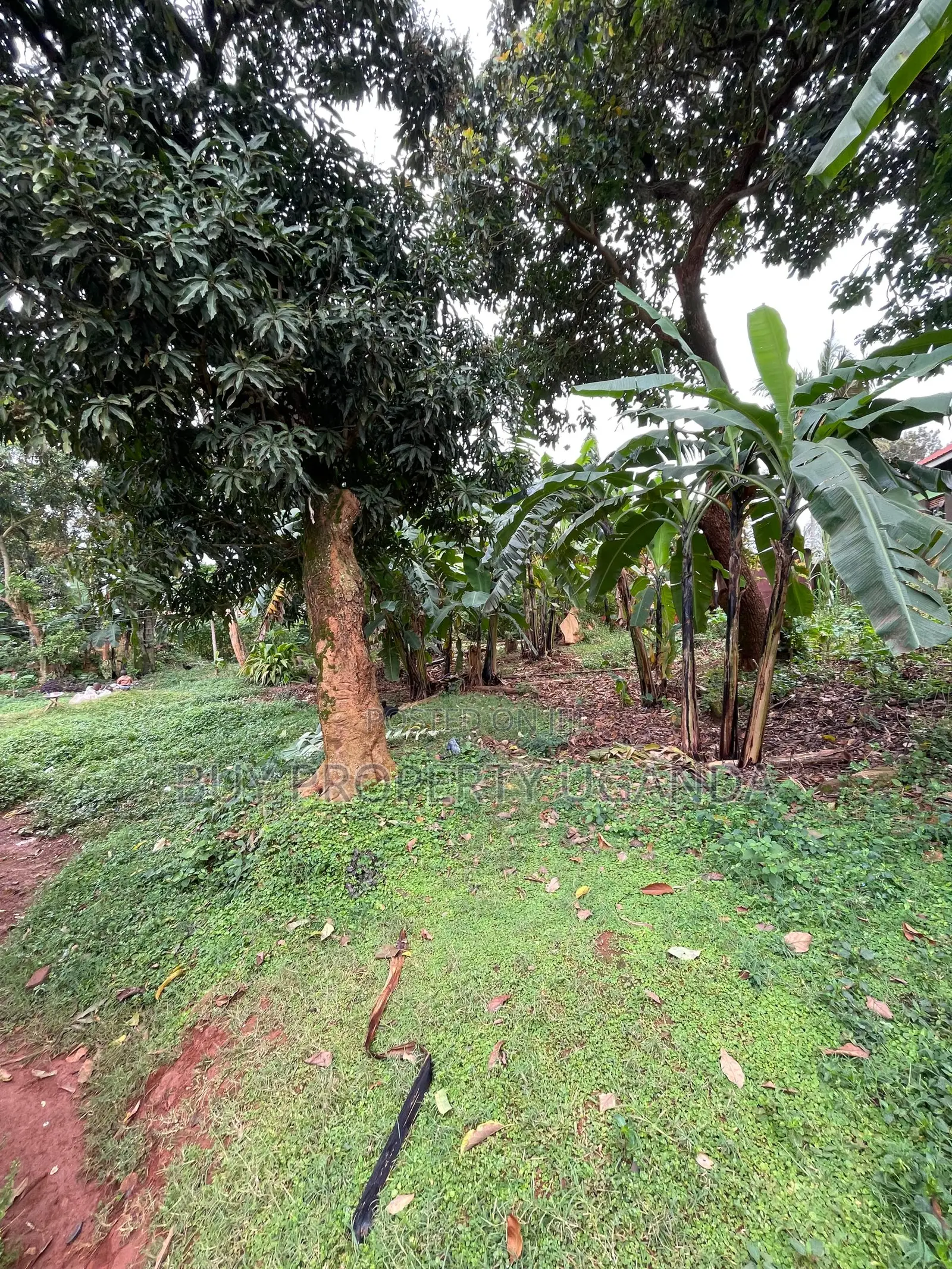 Land for Sale Near Entebbe Airport