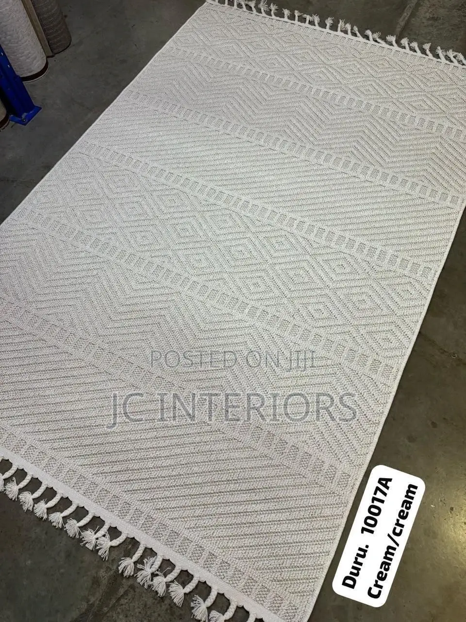 Boutiquerugs Aimee Contemporary Area Rug