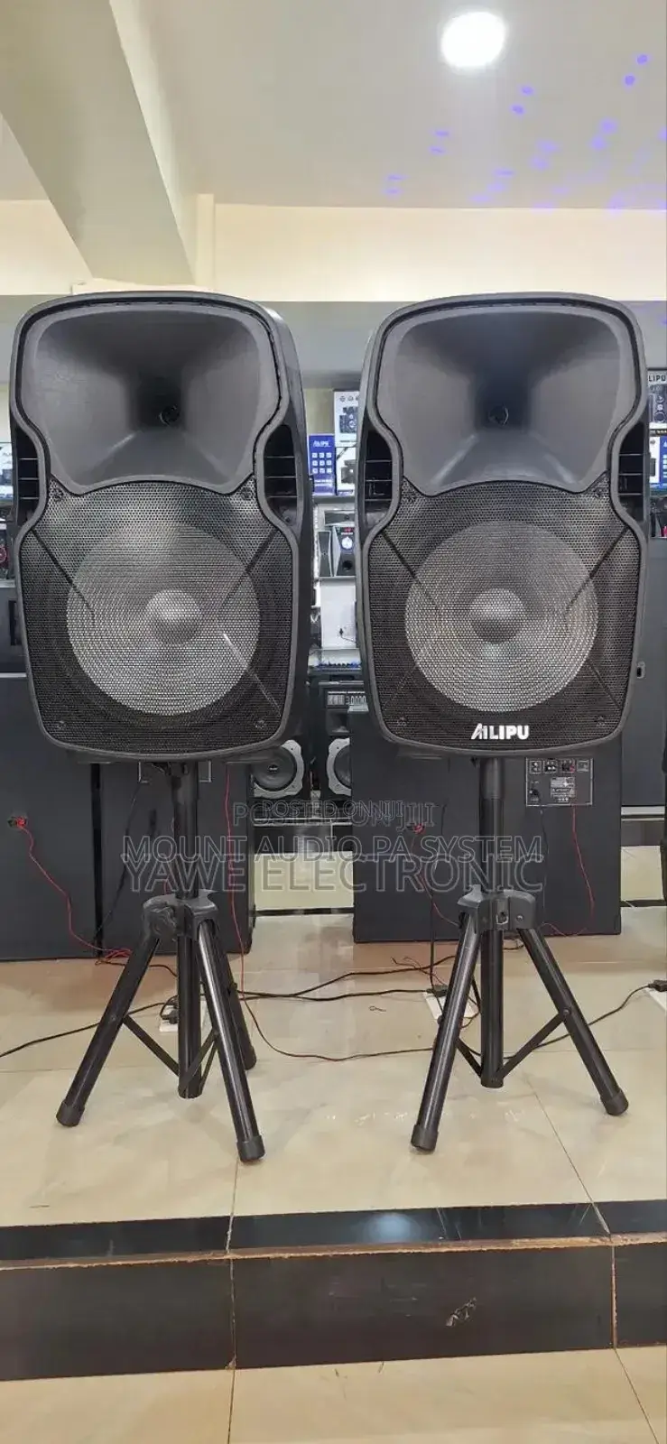 Ailipu 9040 Paired Speaker