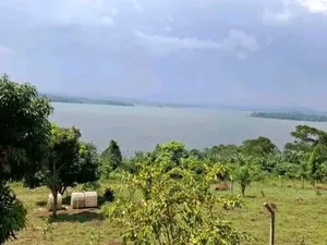2.5 Acres of Land With a Shell Flat House in Buwera Ngogwe Buikwe