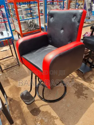Salon Chair/Sensational/for Men