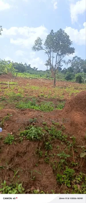 Plots on Sale in Kiwenda