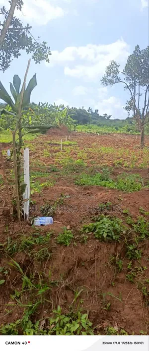 Plots on Sale in Kiwenda