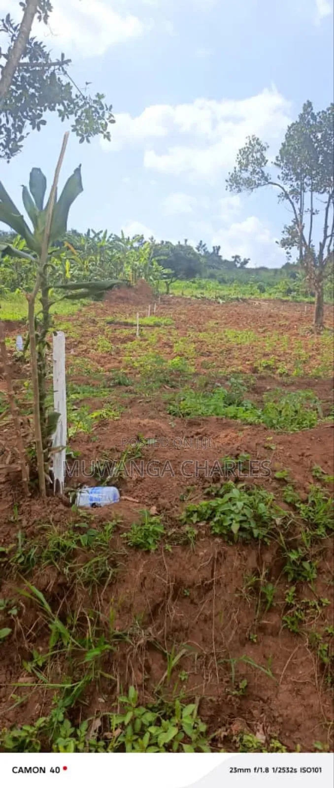 Plots on Sale in Kiwenda