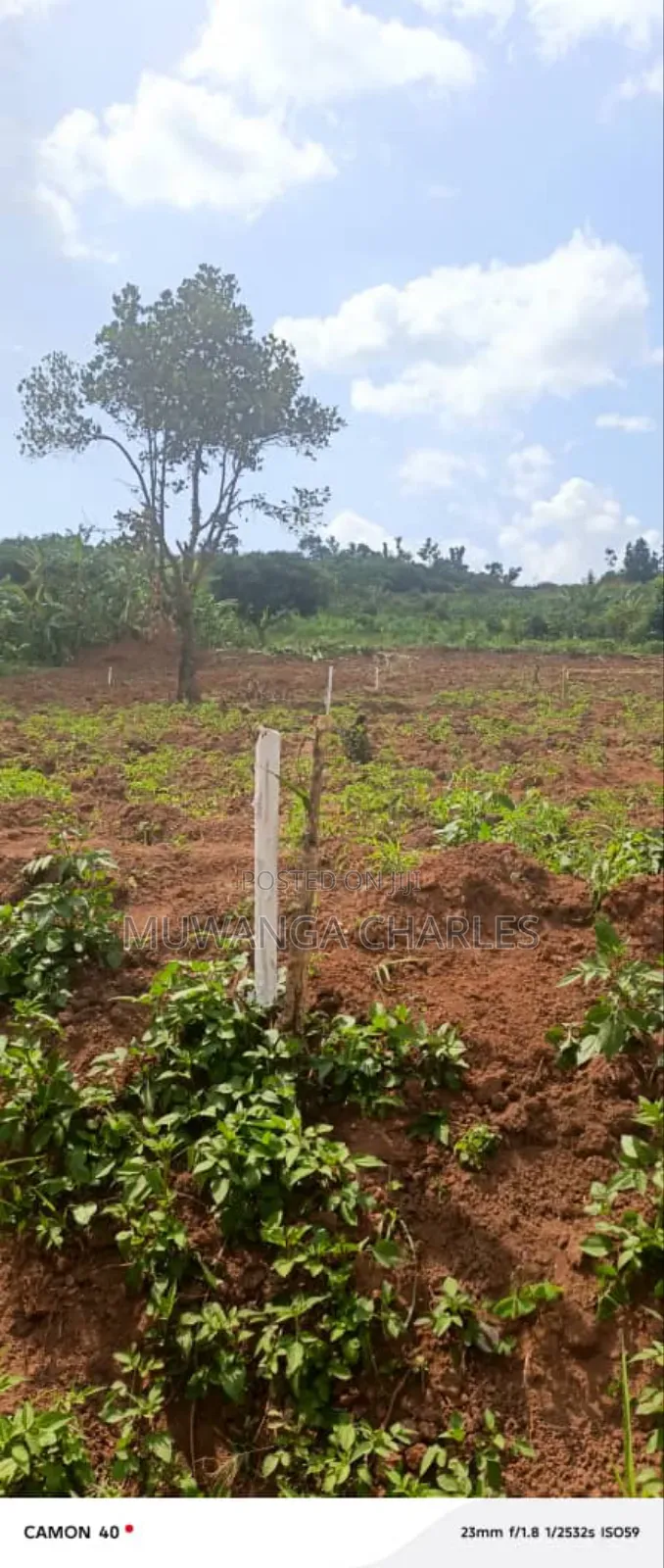 Plots on Sale in Kiwenda