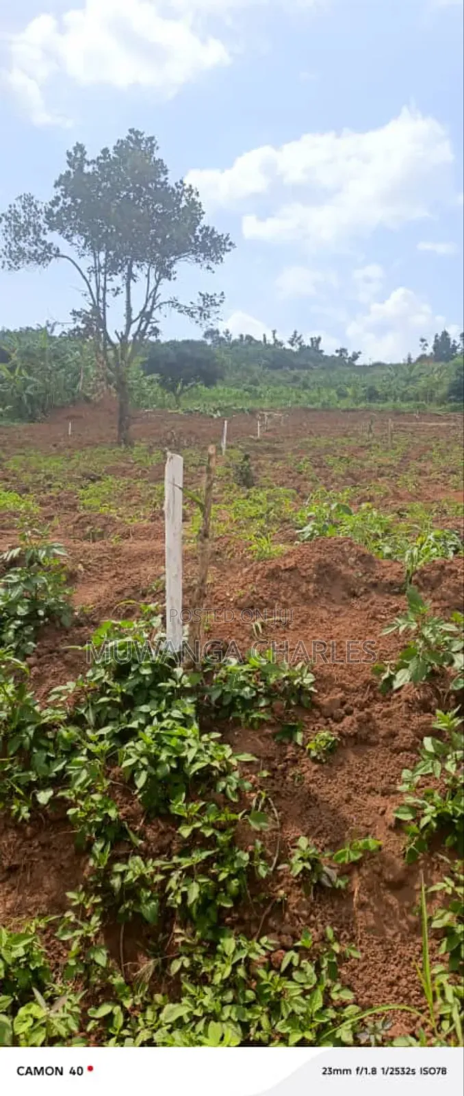 Plots on Sale in Kiwenda