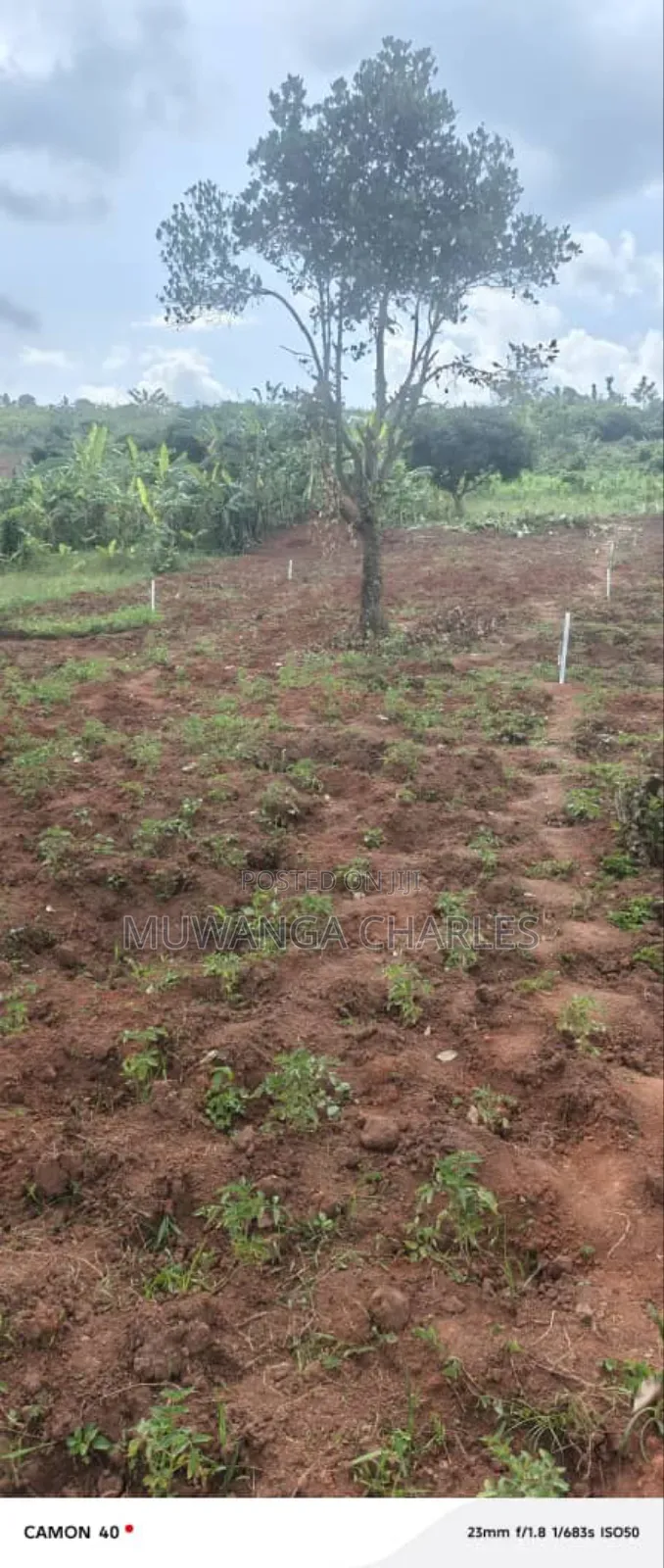 Plots on Sale in Kiwenda
