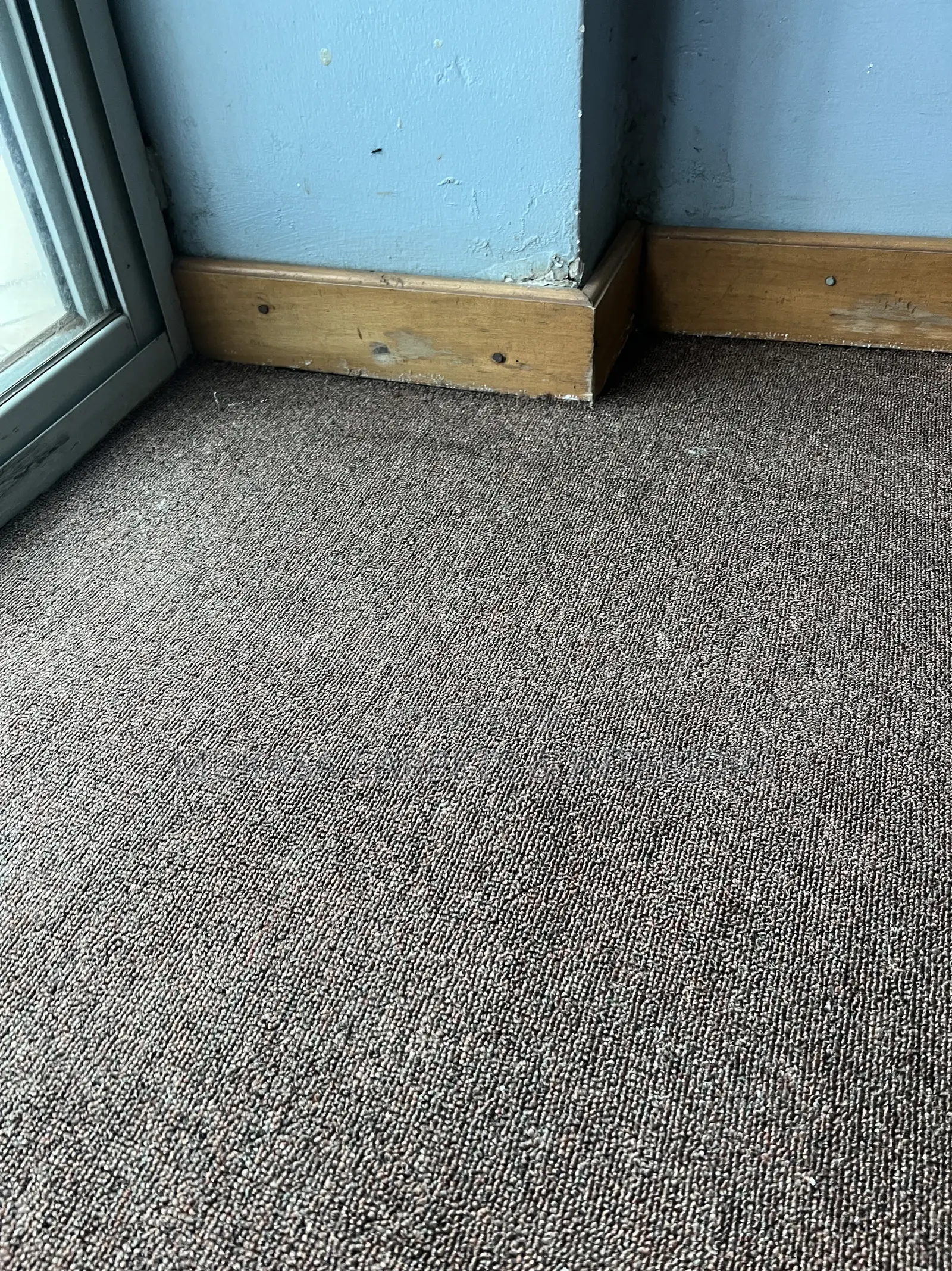 Durable Woolen Carpet-Stylish Look