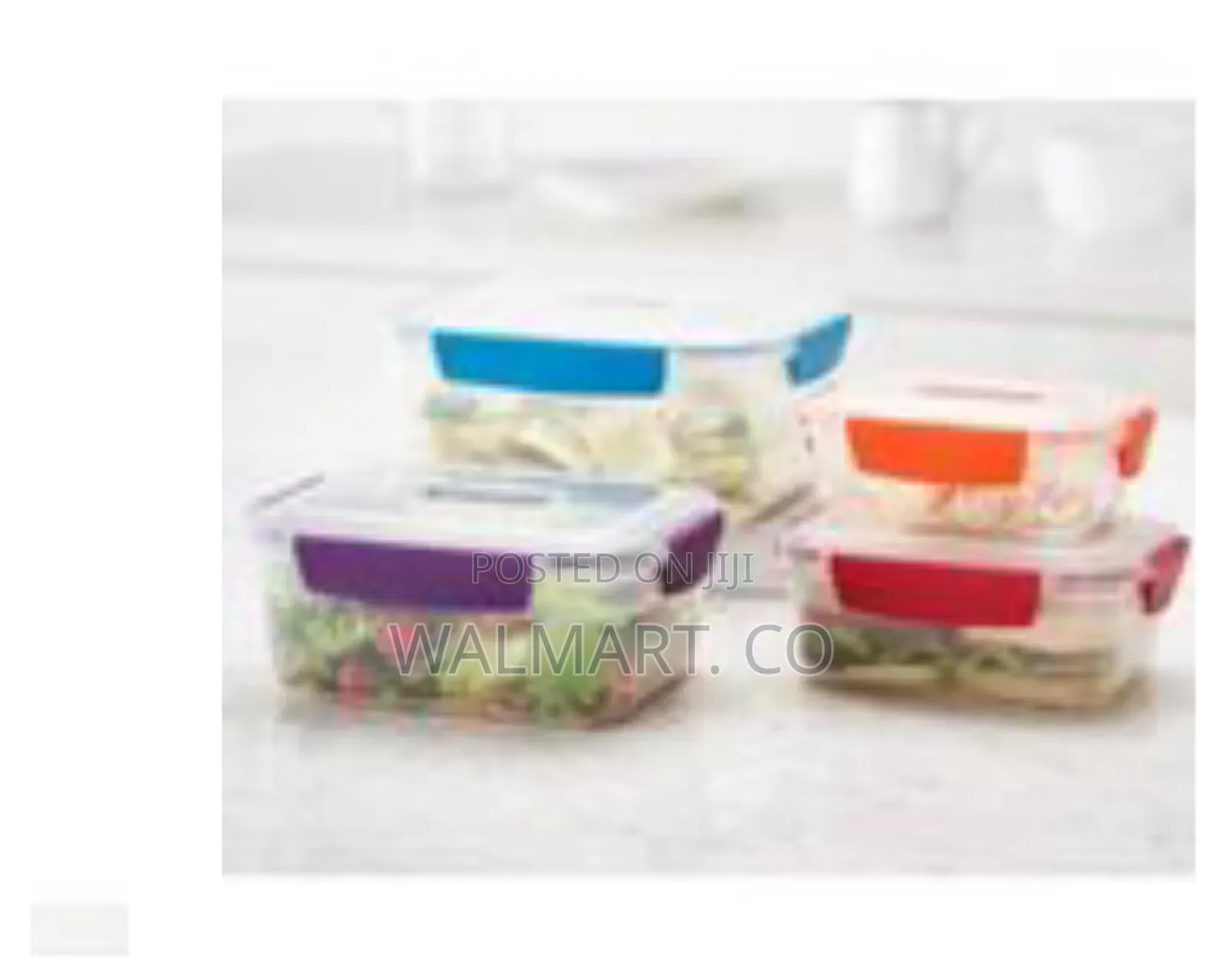 4 Piece Rainbow Color Food Storage Container