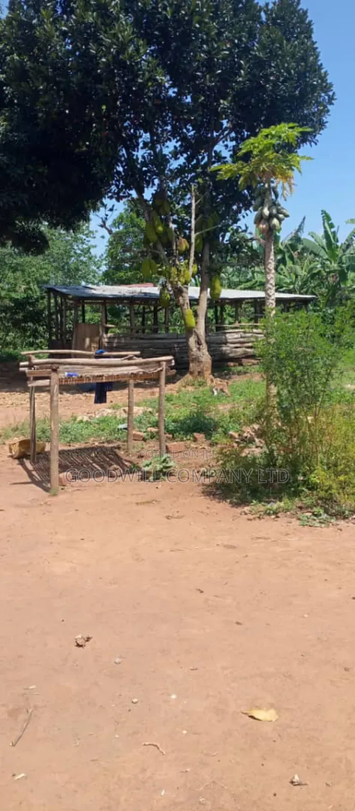 14 Acres of Land in Nakatete Kikyuusa
