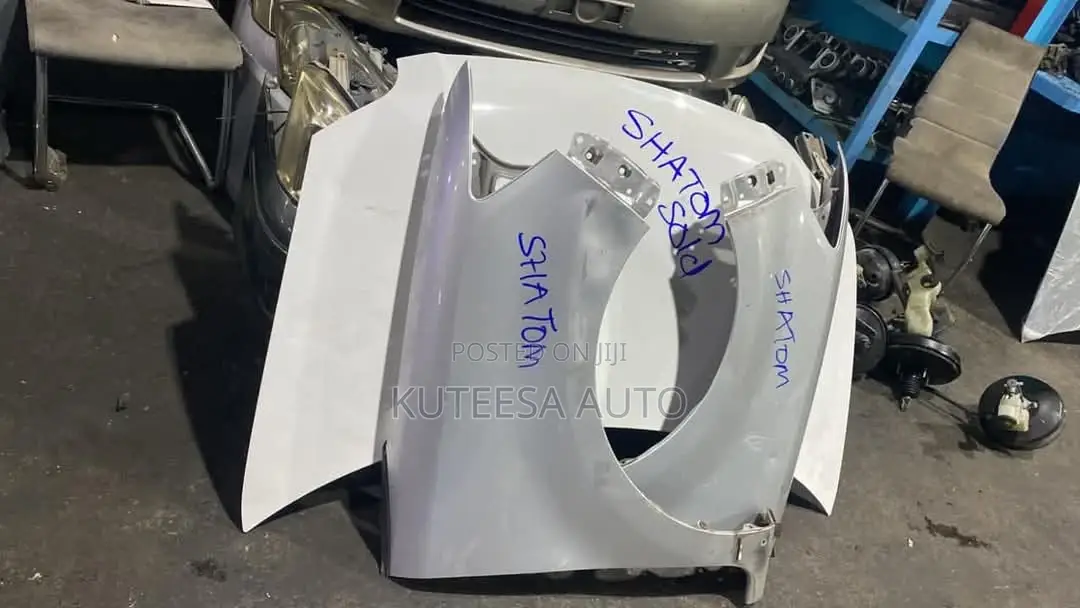 Rumion 2008 Fenders