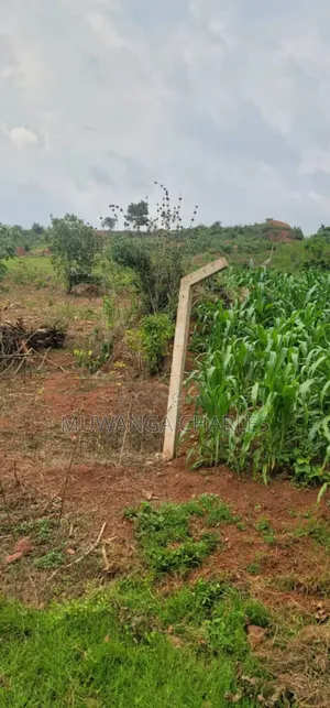 Plot on Sale in Kira Phase 2