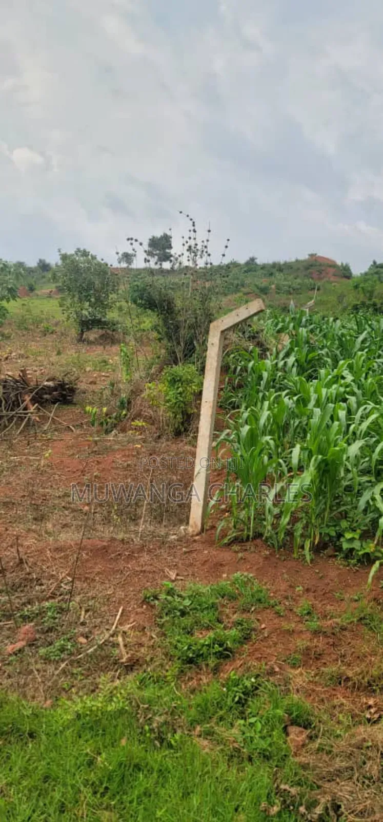 Plot on Sale in Kira Phase 2