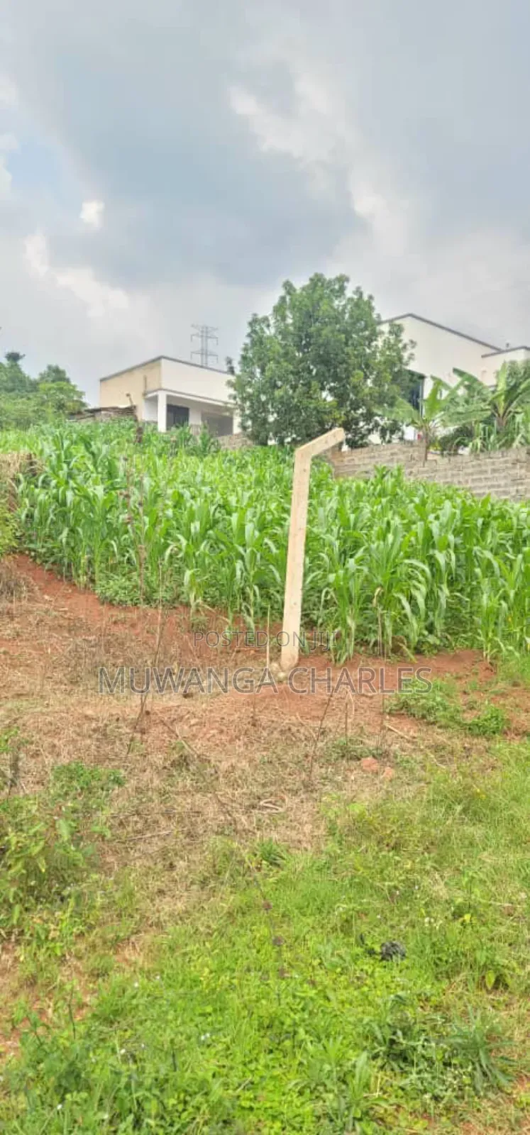 Plot on Sale in Kira Phase 2