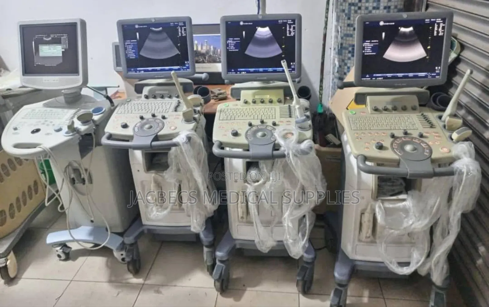 Loqic C-5 Ultrasound Scan