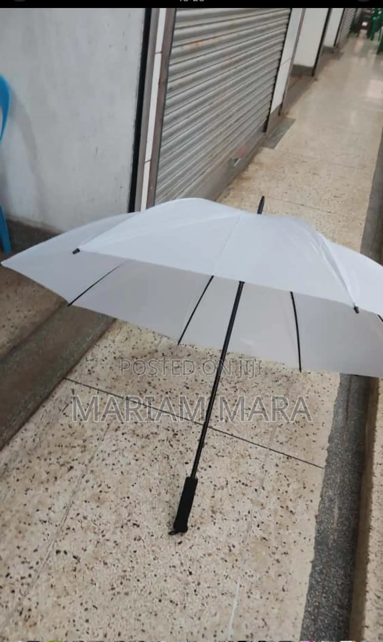 Umbrella /White Umbrella