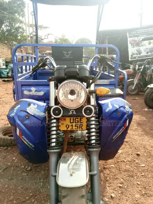 Tricycle 2025 Blue