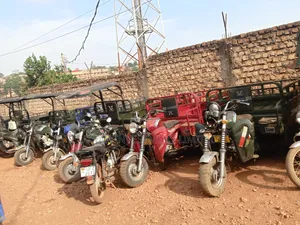 Tricycle 2025 Blue