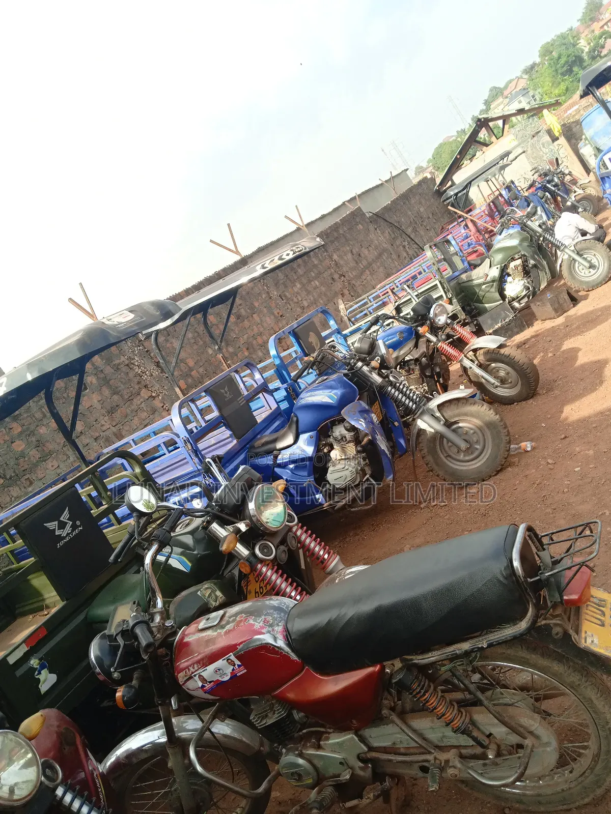 Tricycle 2024 Blue